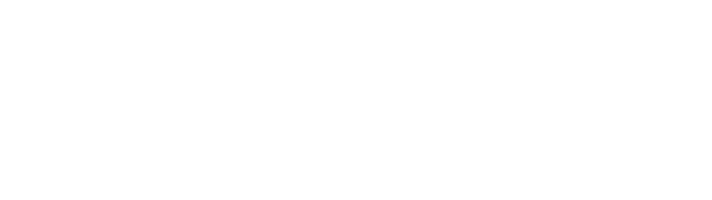Eva veil